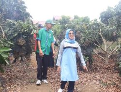 Kabupaten Dharmasraya Blusukan ke Solsel untuk Pelajari Pengelolaan Kopi dari Hulu ke Hilir