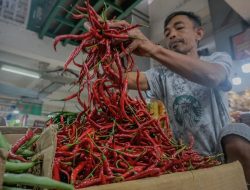 Kota Padang Panjang Catat Inflasi 2,75 Persen pada Agustus 2025, Tertinggi sejak Juni