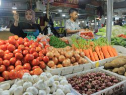Memasuki Akhir September, Harga Cabai dan Bawang di Padang Panjang Anjlok Signifikan